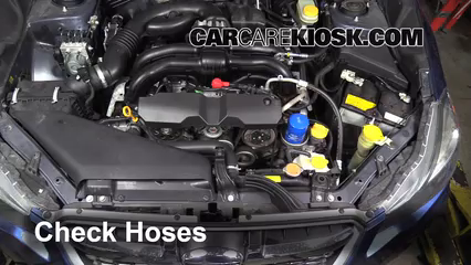 Subaru Impreza Coolant - Greatest Subaru